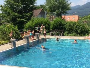 Wassergewöhnungskurs