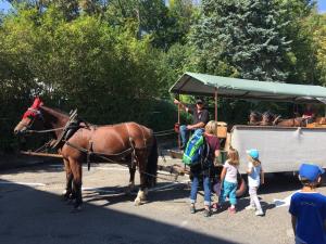 Ross und Wagen