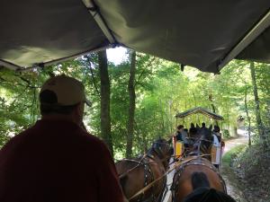 Ross und Wagen