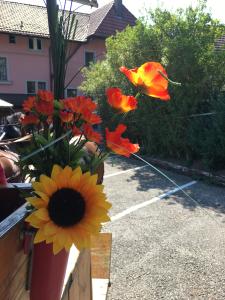 Ross und Wagen