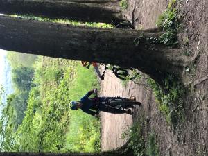 Bikeausflug der Aare entlang