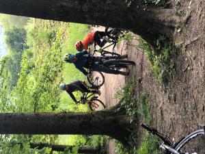 Bikeausflug der Aare entlang